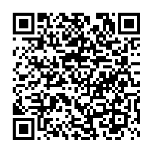 便可以自己按照格式写出你心目中想要出现在书中的角色会是什么样呢二维码生成