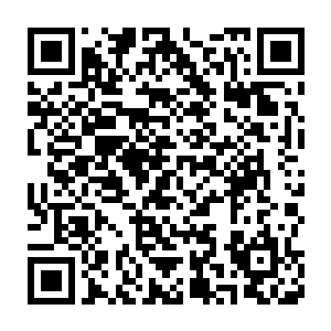 便将这套完美的青色战甲硬生生的从绿裙女身上硬生生扯掉了一半下来二维码生成