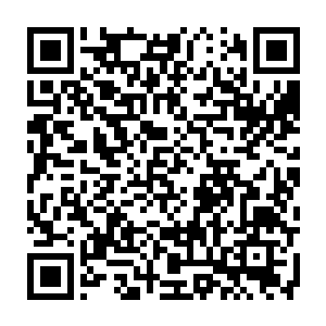 便感到一股霸道威猛的法力就像一条无形的绳子把他的元神给缠绕了起来二维码生成