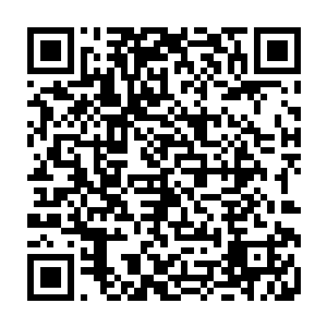 便是一贯瞧上去端庄雍容的大夫人也忍不住仔细打量起了宋氏的那一堆物件二维码生成