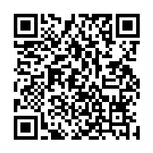 便是借用了甲骨中的兽类的生力去完成对过去或未来的探知二维码生成