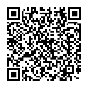 便是利用各种秘法和手段对他手下所俘虏和控制的一些生物进行杂交二维码生成