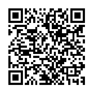 便是在催动它后可以召唤出一个外表和自己一般无二的替身来二维码生成