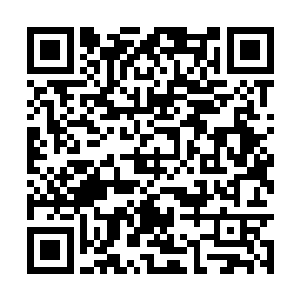 便是如今血魔宗真正的领袖……不是血魔宗的宗主二维码生成