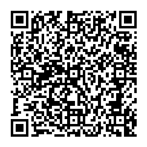 便是宗师级他都是刚刚跨入没多久的……虽说他的实力比一般刚刚进阶的宗师级高手强出不少二维码生成