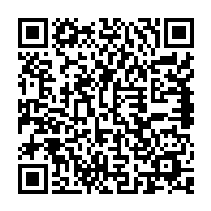 便是常年在此行走的匪徒也不敢说每次都能够准确无误的避开自己设下的陷阱二维码生成