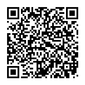 便是战斗意志再怎么强大的士兵在这样的情况下也没有了什么信心二维码生成