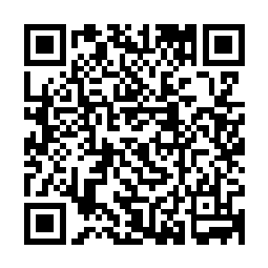 便是楚旬利用当初那幻形妖所寄生出来的新型异形――幻形异形二维码生成