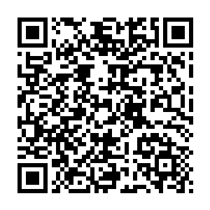 便是秦方有意立威了……顿时把麻生野的嚣张气焰完全压制了下去二维码生成