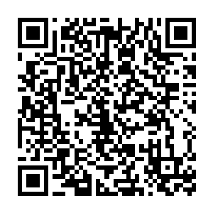 便是让得先前那几位传递消息的中年男子一个个变得毕恭毕敬起来二维码生成