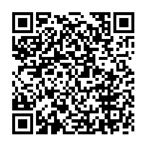 便是那护宝多少的深渊魔虎都不可能饶过他们的……不把他们撕成碎片二维码生成