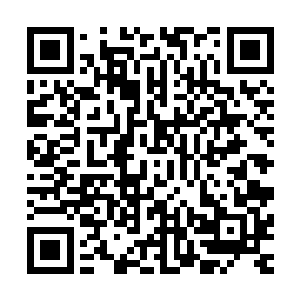 便有几个离得近的丐帮弟子冲上去把已经昏迷的罗残拖了回来二维码生成
