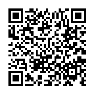 便有意无意地引导着王主大人决定了这十二位域主的命运二维码生成