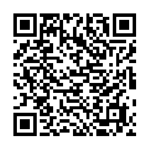 便熟门熟路的打开一个暗格从里面拿出一本军事方面的书二维码生成