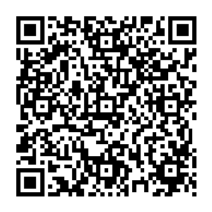 便看到宴会刚开始没多久就不见人影了的定王正揽着定王妃懒洋洋的坐在屋顶上笑看着下面二维码生成