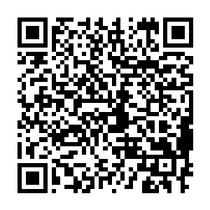 便看见那倒在地上昏迷不醒的高加索犬……此时已经是秦方的宠物了二维码生成