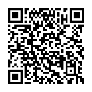 便硬生生地扛下了他们几乎全力以赴的一轮攻击二维码生成