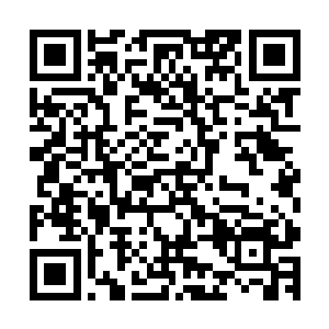 便秦方也不得不直接动用他压箱底的绝招才可以度过这一关的二维码生成