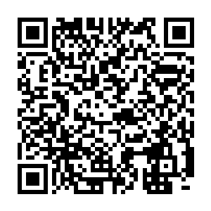 便简单的感受过这座小城中的一些强者的气息……大部分人都不是很强二维码生成