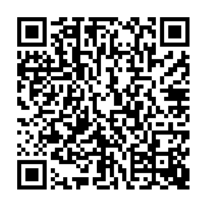 便能看到那由白虎脊椎所化的刀骨上开始逸散出一缕缕鲜红如血的粘稠气息二维码生成