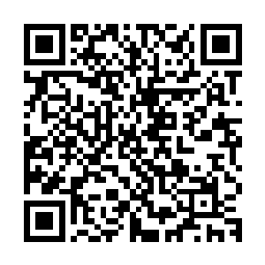 便被陆天以神火法则和完全碾压沈剑的修为之力给硬生生撑住了二维码生成