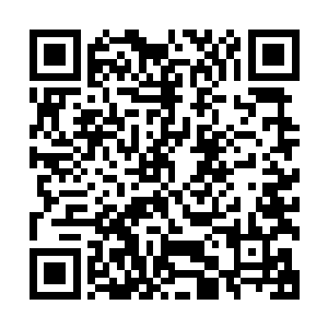 便见愤怒手中那曼殊沙华之剑仿佛从一把幻化为了无数把一样二维码生成