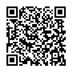 便见督瑞尔那碧绿色的虫甲上也浮现出一条深邃而狰狞的刀痕二维码生成