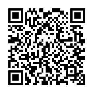 便见红漆木盒里是一朵通体莹润好似才刚从树下摘下的花朵二维码生成