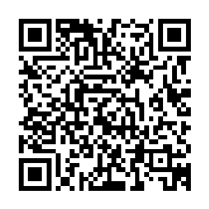 便见那原本还激荡出璀璨光辉的血晶心脏一下也变得暗淡了起来二维码生成