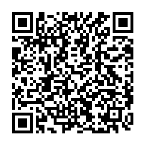 便跟同伴挤在了「话题中心」的长凳上……这像是混乱而又常见的绿林景象二维码生成