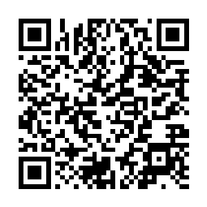 促使秦家和陆朝歌一手打造出现在响誉世界的朝炎科技――二维码生成