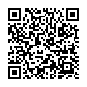 俊逸出色的五官上挂着的笑容也随着段无痕的话阴冷了几分二维码生成