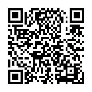 保不齐会为了富贵前程甚至是几袋子赏银去讨新悉惕的欢心二维码生成