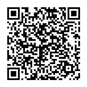 保守估计小金到时候单独应付一个顶级神中期的强者的话绝对是不成问题二维码生成
