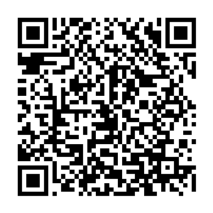 保安真的是觉得苏凡这种略微显得有些瘦削的人能伤到自己简直就是无稽之谈二维码生成