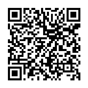 保护着众人的骨墙和能量护盾竟然只是支撑了不到一分钟的时间二维码生成