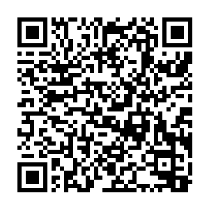 保罗可不信江少游会在这短短不到一秒钟的时间就能从大门口跑出去二维码生成