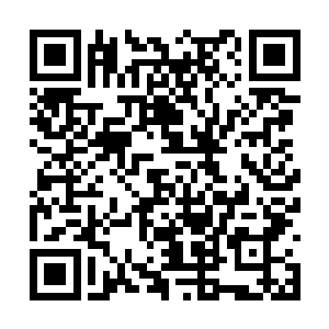 保镖们以很悲壮的方式保护了他们的要保护的目标二维码生成