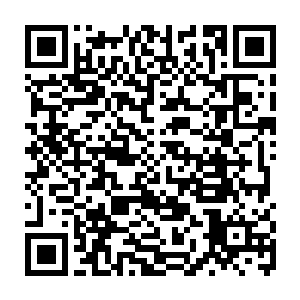 保镖等一群人浩浩荡荡的登上了一架从京城飞往南湖省省会沙洲市的南航客机二维码生成