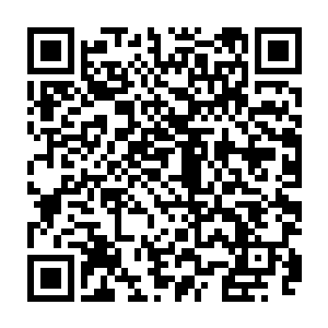 俞千音以及一众宗隋人的死亡并没有令先行潜入大顺京城的宗隋势力全面瓦解二维码生成