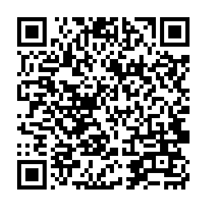 俞淑仪怎么也都没有想到雷欢喜会带着满满一卡车的年货出现在梨花村二维码生成