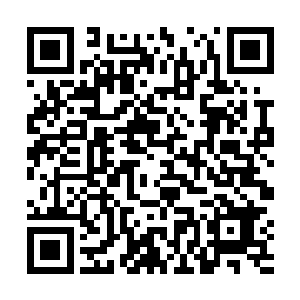 俞飞博士看了下窗外的一片苍茫和迷迷糊糊的妻子林樱二维码生成