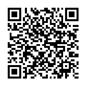 信上提及孙仲谋如今不但尽得江东和原霸王军一众将士的忠心二维码生成