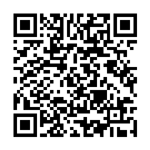 信心满满的法国驻越南总督甚至没有派出法军参战二维码生成
