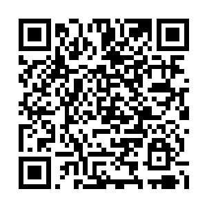 信誓旦旦一定想尽办法修炼再让李盈娇带路前去二维码生成