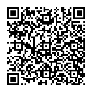 修为低了就只有被碾压的份儿…必须得抓紧时间提升修为啊…玄域上古战场也快开启了二维码生成