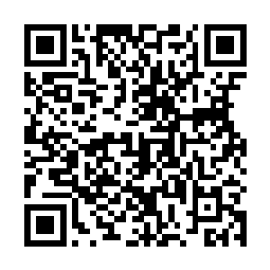 修为再高的人估计也无法施法查探到地底这么深的位置二维码生成