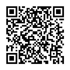 修为远远不如罗子强和刘宇的他根本无法阻挡痛苦感的侵袭二维码生成