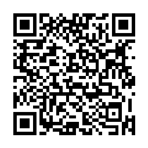 修仙界之中自然有人统计过上古的妖兽和现有的妖兽名目二维码生成