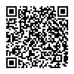 修炼出来的凡火还没有办法完全炼化五颗纯净度百分之二的下品下等灵石二维码生成